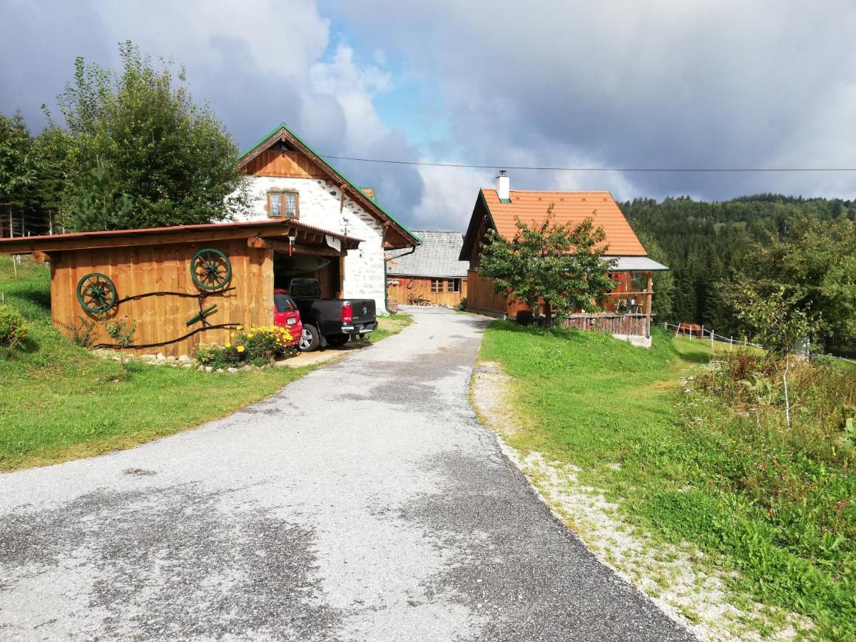 Ferienhaus Friedlhof Langschlag  Eksteriør billede