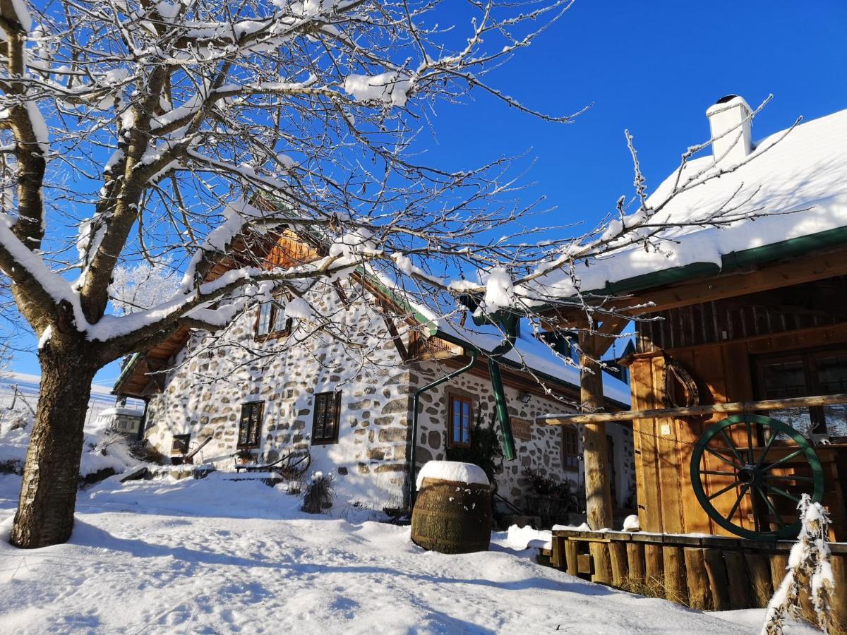 Ferienhaus Friedlhof Langschlag  Eksteriør billede